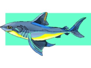 Sticker Custom Preview Image #015818 Animals Aquatic Shark27