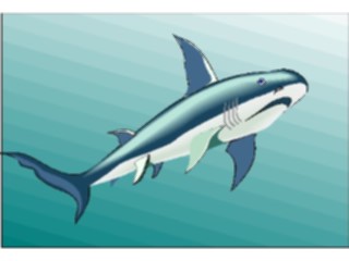 Sticker Custom Preview Image #015819 Animals Aquatic Shark28