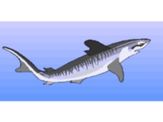 Sticker Custom Preview Image #015822 Animals Aquatic Shark31
