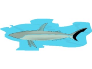 Sticker Custom Preview Image #015825 Animals Aquatic Shark34