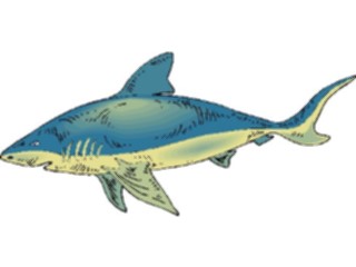 Sticker Custom Preview Image #015827 Animals Aquatic Shark36