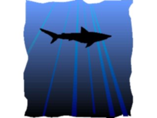 Sticker Custom Preview Image #015832 Animals Aquatic Shark Graphic