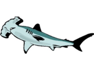 Sticker Custom Preview Image #015833 Animals Aquatic Shark Hammerhead1