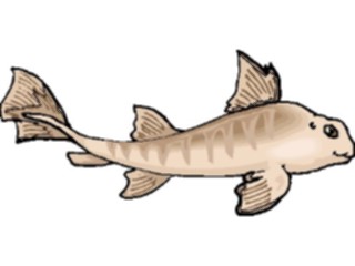 Sticker Custom Preview Image #015841 Animals Aquatic Shark Horn