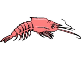 Sticker Custom Preview Image #015847 Animals Aquatic Shrimp2