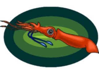 Sticker Custom Preview Image #015866 Animals Aquatic Squid07