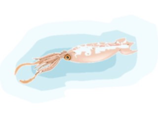 Sticker Custom Preview Image #015869 Animals Aquatic Squid10