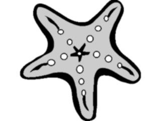 Sticker Custom Preview Image #015876 Animals Aquatic Starfish05