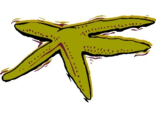 Sticker Custom Preview Image #015878 Animals Aquatic Starfish07