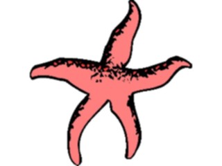 Sticker Custom Preview Image #015882 Animals Aquatic Starfish11