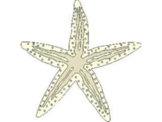 Sticker Custom Preview Image #015885 Animals Aquatic Starfish14