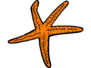 Sticker Custom Preview Image #015886 Animals Aquatic Starfish15