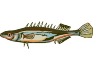 Sticker Custom Preview Image #015891 Animals Aquatic Stickleback2