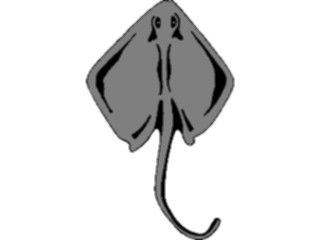 Sticker Custom Preview Image #015895 Animals Aquatic Stingray03