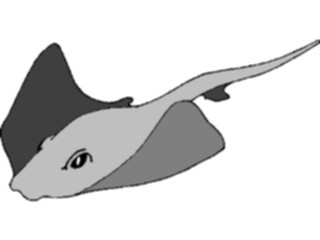 Sticker Custom Preview Image #015896 Animals Aquatic Stingray04