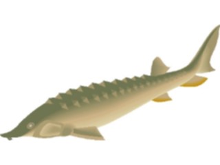 Sticker Custom Preview Image #015903 Animals Aquatic Sturgeon1