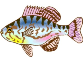 Sticker Custom Preview Image #015906 Animals Aquatic Sunfish1