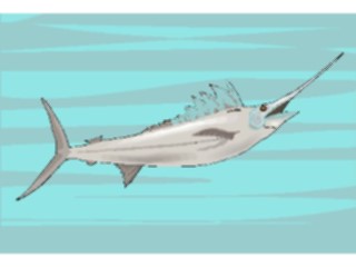 Sticker Custom Preview Image #015913 Animals Aquatic Swordfish4