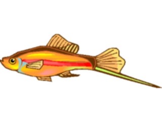 Sticker Custom Preview Image #015916 Animals Aquatic Swordtail2