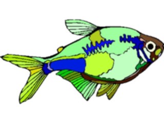 Sticker Custom Preview Image #015924 Animals Aquatic Tetra02