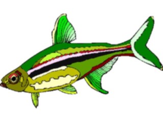 Sticker Custom Preview Image #015925 Animals Aquatic Tetra03