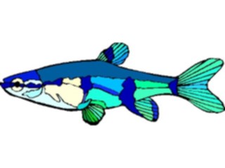 Sticker Custom Preview Image #015928 Animals Aquatic Tetra06