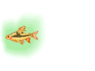 Sticker Custom Preview Image #015931 Animals Aquatic Tetra09