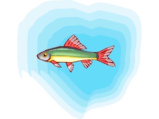 Sticker Custom Preview Image #015933 Animals Aquatic Tetra11