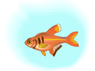 Sticker Custom Preview Image #015934 Animals Aquatic Tetra12