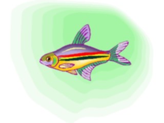 Sticker Custom Preview Image #015937 Animals Aquatic Tetra15