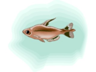 Sticker Custom Preview Image #015938 Animals Aquatic Tetra16