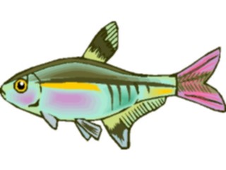 Sticker Custom Preview Image #015940 Animals Aquatic Tetra18