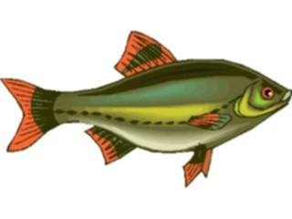 Sticker Custom Preview Image #015944 Animals Aquatic Tetra22