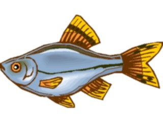 Sticker Custom Preview Image #015945 Animals Aquatic Tetra23