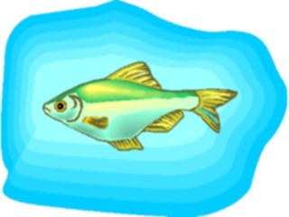 Sticker Custom Preview Image #015947 Animals Aquatic Tetra25