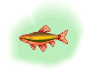 Sticker Custom Preview Image #015948 Animals Aquatic Tetra26