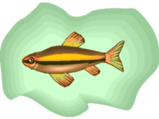 Sticker Custom Preview Image #015949 Animals Aquatic Tetra27