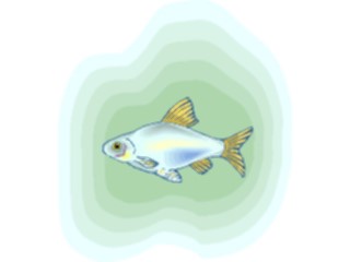 Sticker Custom Preview Image #015950 Animals Aquatic Tetra28