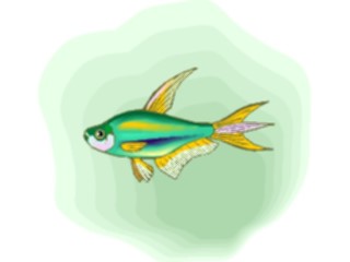 Sticker Custom Preview Image #015958 Animals Aquatic Tetra Emperor