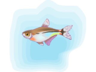 Sticker Custom Preview Image #015959 Animals Aquatic Tetra Head Tail Light