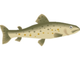 Sticker Custom Preview Image #015964 Animals Aquatic Trout1