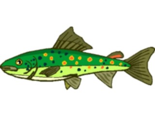 Sticker Custom Preview Image #015965 Animals Aquatic Trout2