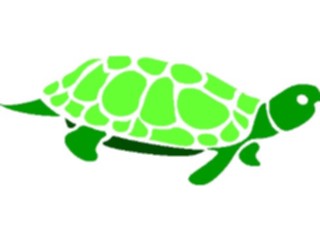 Sticker Custom Preview Image #015969 Animals Aquatic Turtle2