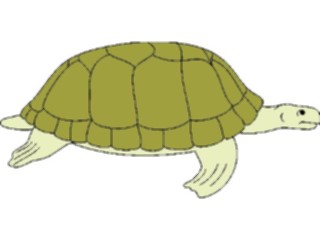 Sticker Custom Preview Image #015973 Animals Aquatic Turtle6