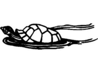 Sticker Custom Preview Image #015974 Animals Aquatic Turtle7