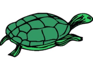 Sticker Custom Preview Image #015975 Animals Aquatic Turtle8