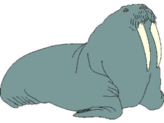 Sticker Custom Preview Image #015979 Animals Aquatic Walrus02