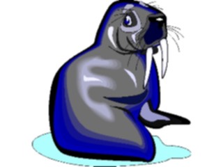 Sticker Custom Preview Image #015980 Animals Aquatic Walrus03