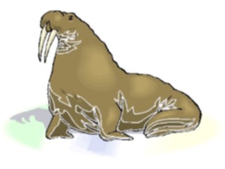 Sticker Custom Preview Image #015982 Animals Aquatic Walrus05