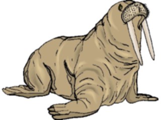 Sticker Custom Preview Image #015983 Animals Aquatic Walrus06